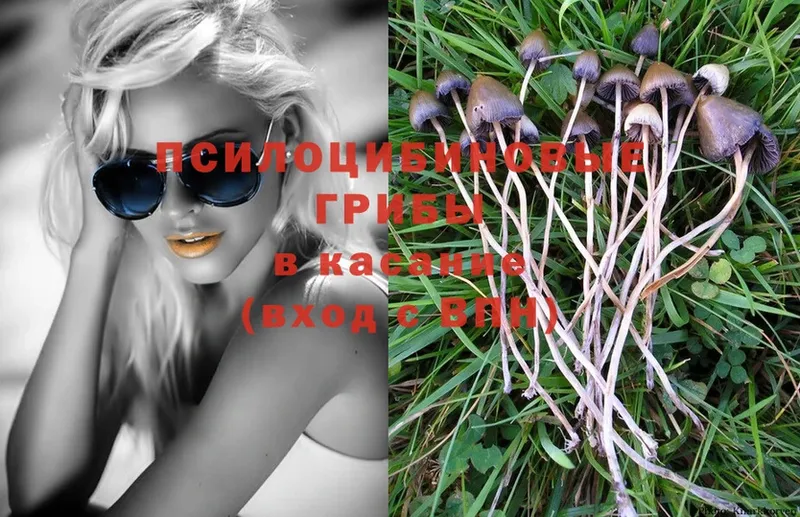 Галлюциногенные грибы MAGIC MUSHROOMS  Чита 